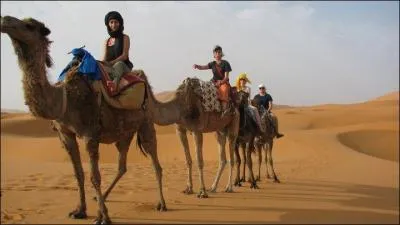 Go to the desert and discover the princess!