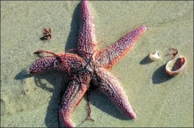 Don't float in an ocean of uncertainty, the answer is easy!