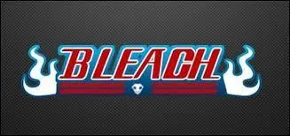 Bleach : finally, the character in this proposed anime is ...