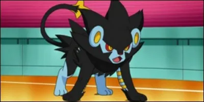 What is this Pokemon?