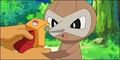 What is this Pokemon?