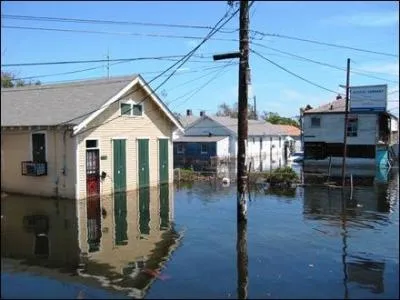 New Orleans is, on average, six feet ... sea level. Thirty-eight hurricanes have caused significant flooding in that city.