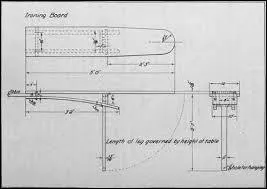 Which African American female inventor holds the world wide patent on the ironing board and was born in Summit, Mississippi in 1870?