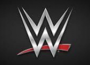 Quiz Who is you WWE partner