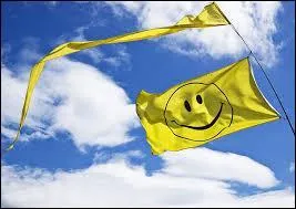 What does the shield on the flag symbolize?