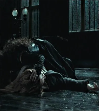 TOP 3: Hermione's interrogation (HP 7.1).Why does Bellatrix torture Hermione on the floor of the Malfoy living room?
