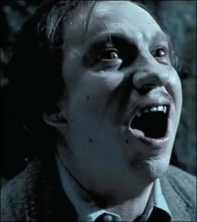 TOP 12: Remus Lupin's transformation (HP 3).with his cunning, who prevents the wolf from devouring Harry?