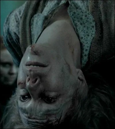 TOP 8: The rise of the Dark Lord (HP 7.1).What is Nagini's role in this scene?