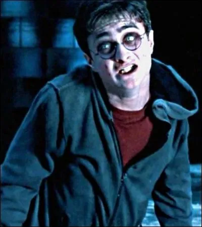 TOP 7: Harry possessed by Voldemort (HP5).How does Dumbledore illustrate the close connection between Harry and Voldemort?