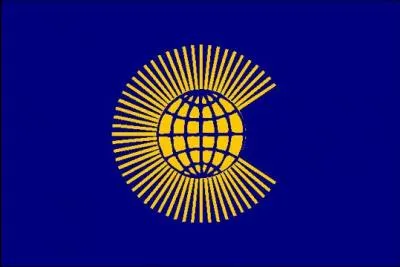 The rays on the Commonwealth flag and logo...