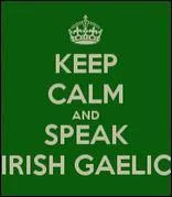 RTE (Radio na Gaeltachta) and Teilfis na Gaelige (TG4) are two examples of Irish radio and television. There are less people in Ireland speaking Irish Gaelic than people using the English language. But there are about 1, 860, 000 people with some knowledge of the Irish Gaelic language. How many everyday speakers are there in Ireland?
