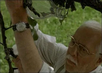 In the film Une hirondelle a fait le printemps , what is Michel Serrault's job?