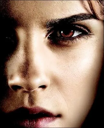 Who gets on well with Harry?