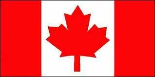 Which country does this flag represent?