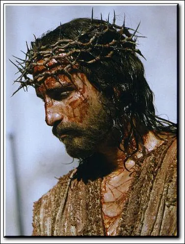 Where is the crown of thorns kept?