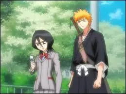 Now, I propose 'Bleach'. Who's not in this picture?