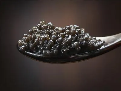 Where does caviar come from?