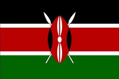 What Country does this Flag belong to?