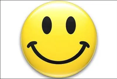 Did you like my quiz?