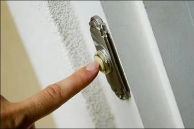 What is in the picture?