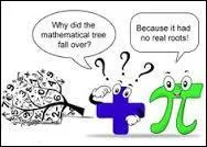 Given x = -1 is a root of the polynomial y = x^3 - 7x - 6, find the other roots.