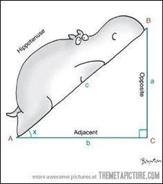 Factor completely. 49x&sup2;-1
