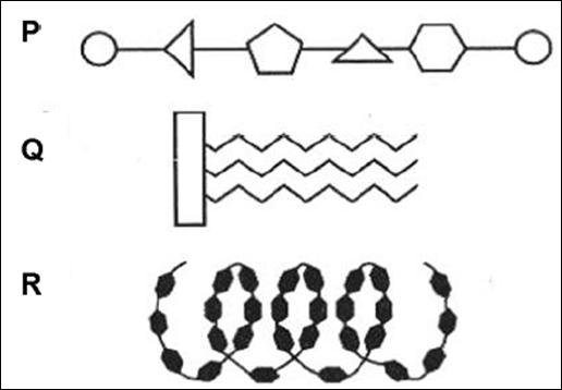 chemical in elements monosaccharides are represent R types the and three of respective nutrients. What