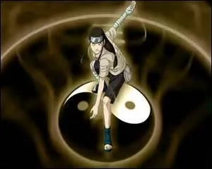Which of these techniques does Neji use?