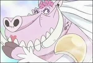 Which carte Vitale does Laura give to Nami at Thriller Bark?