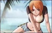After the Enies Lobby attack, how much is Nami's bonus?