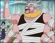 What danger does Octo save Camie from when he meets her?