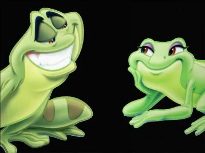 It is thanks to these two frogs that you will find the name of the princess!