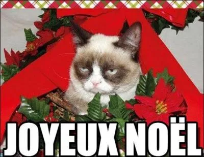 Who decided that Christmas would be on December 25?