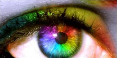 Why do Bulls charge at red cloths?