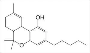 When testing for Cannabis, what is detected if positive?
