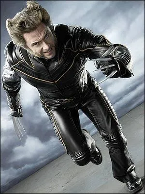 Wolverines claws are made of: