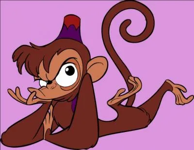 What is the name for this monkey?