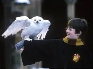 In what movie does a boy learn to do magic?