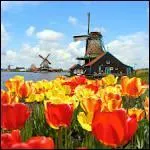 ... Netherlands are in ... Europe.