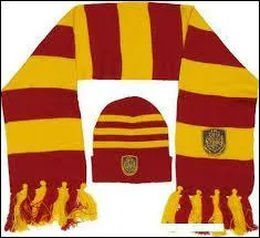 Which animal represents the Gryffindor house?