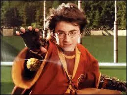 What position does Vicky Frobisher want to play on the Gryffindor Quidditch team?