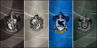 Where is the Slytherin common room located?