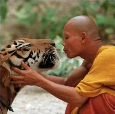 I learned that courage is not the absence of fear, but the ability to overcome it.