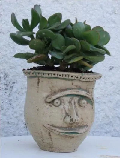 When you bang your head against a pot and it rings hollow, it's not necessarily the pot that's empty.