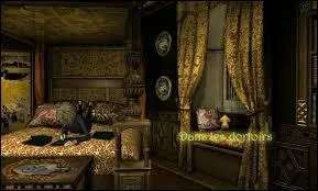 What is the name given to the Hufflepuff ghost?