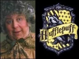 Which student is petrified in the second part of the series is in Hufflepuff?