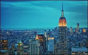 King Kong comes to the cinema and climbs the Empire State Building. What species is this animal?