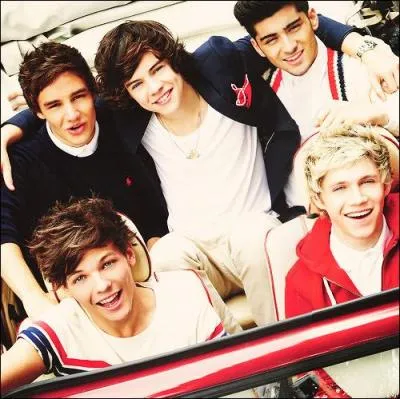 Who's the artist who wants to invite One Direction to collaborate?