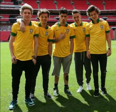 Who's the one person guaranteed to make Liam smile?