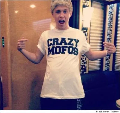 What're Niall favorite colours?